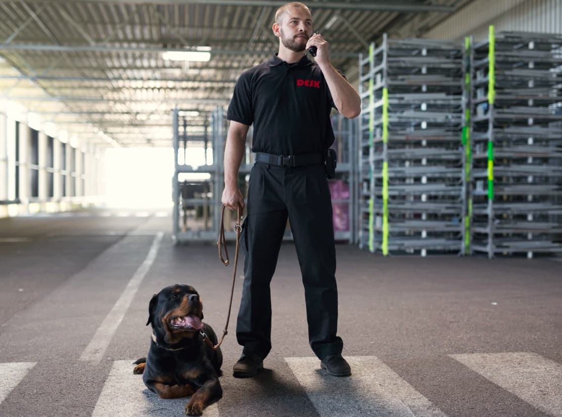 DESK-Sicherheitsmitarbeiter mit Rottweiler in Lagerhalle. Effektive Partnerschaft, Sicherheit, Schutz.